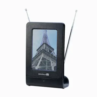 ANT4000 HOMEVISION TECHNOLOGY INC