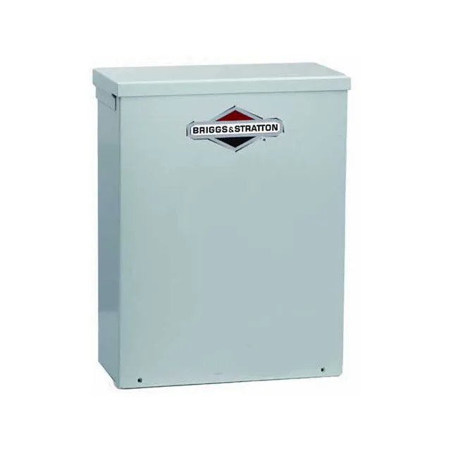 B476529 Briggs & Stratton