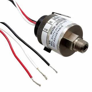 P117V-3H-C12L-DIS Whitman Controls, LLC