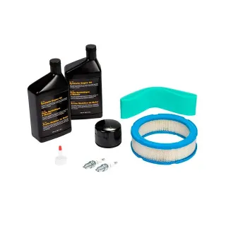 B476536 Briggs & Stratton