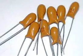 Polarized Capacitors