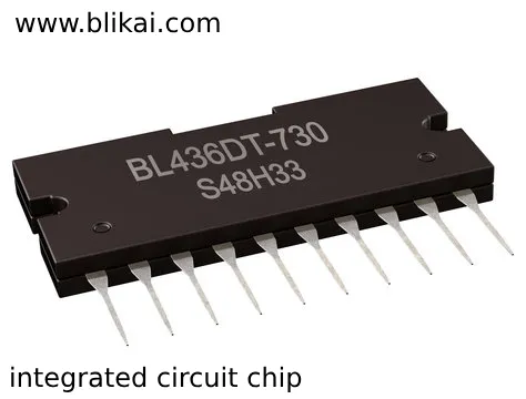 Types of Integrated Circuit Chips