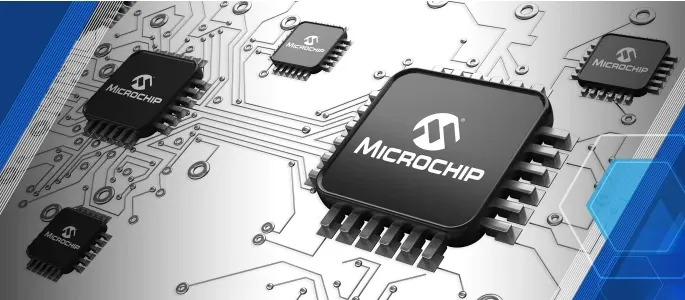 What is a microchip?